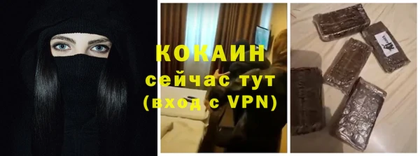 дживик Абаза