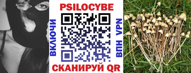Галлюциногенные грибы Cubensis  Шахунья 